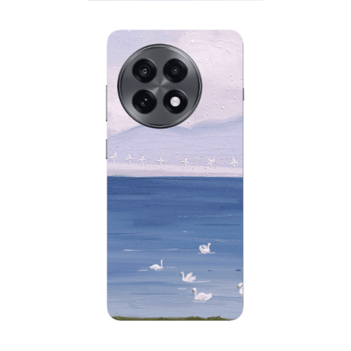 Oneplus 13 5G Swan Lake Transparent Silicone TPU Θήκη