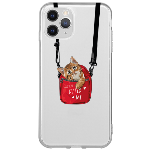 Apple iPhone 11 Pro Are you kitten Transparent Silicone TPU Θήκη