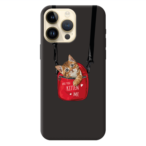Apple iPhone 13 Pro Max Are you kitten Black Colored Silicone TPU Θήκη