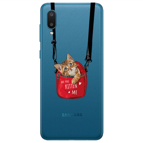 Samsung A02 Are you kitten Transparent Silicone TPU Θήκη