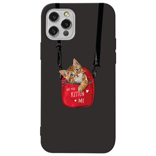 Apple iPhone 12 Pro Are you kitten Black Colored Silicone TPU Θήκη