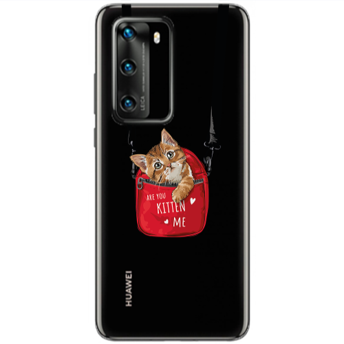 Huawei P40 Are you kitten Transparent Silicone TPU Θήκη