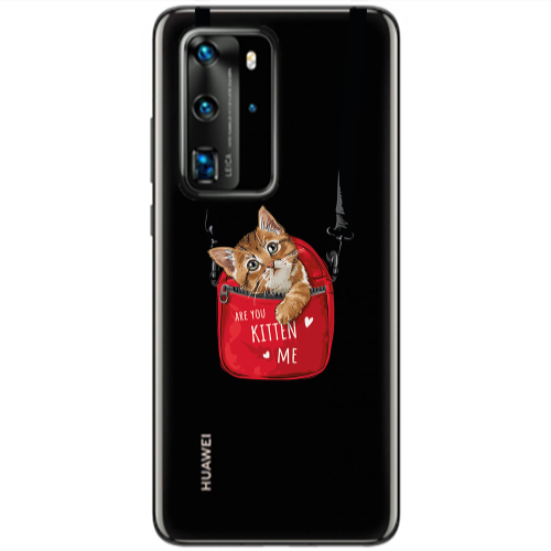Huawei P40 Pro Are you kitten Transparent Silicone TPU Θήκη