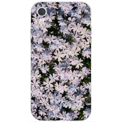 Apple iPhone Xr Flowers white Transparent Silicone TPU Θήκη