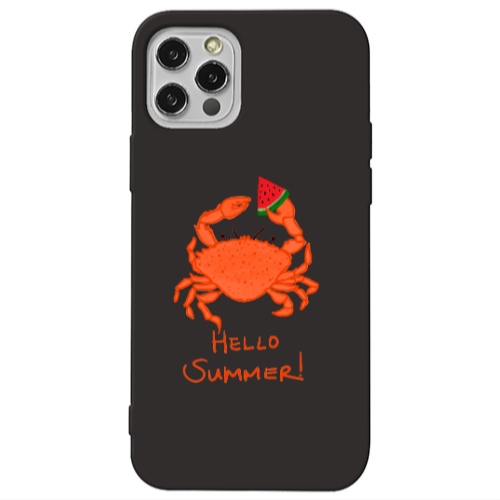 Apple iPhone 13 Pro Hello Summer! Black Colored Silicone TPU Θήκη